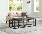 30542 Aspen Court Nesting Cocktail Table